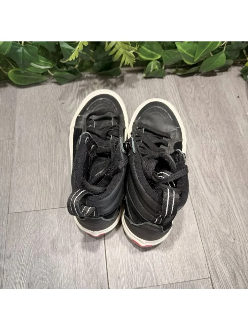 Vans please check